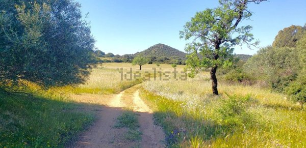 terreno agricolo in vendita a Villasimius