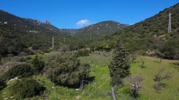terreno agricolo in vendita a Villasimius