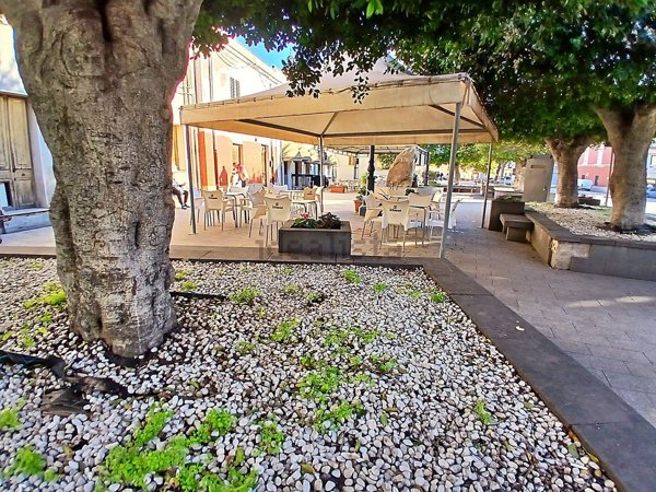 immagine annuncio 0 di 1