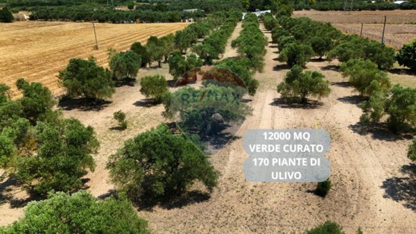 terreno agricolo in vendita a Villasor