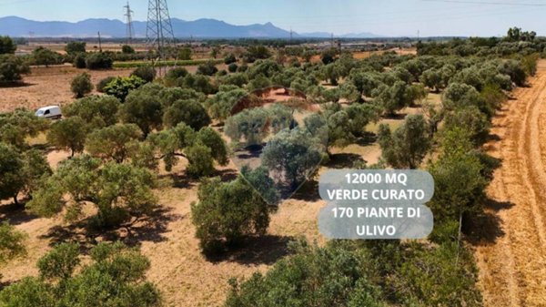 terreno agricolo in vendita a Villasor