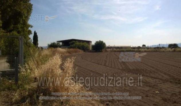terreno agricolo in vendita a Villasor