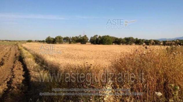 terreno agricolo in vendita a Villasor