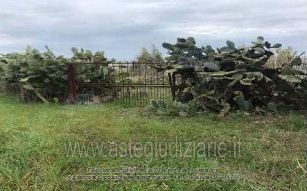 negozio in vendita a Villasor