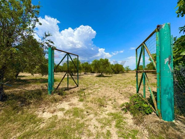 terreno agricolo in vendita a Villasor