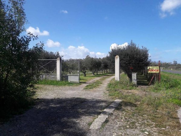 terreno agricolo in vendita a Villasor