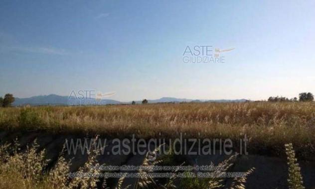 terreno agricolo in vendita a Villasor