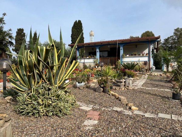 casa indipendente in vendita a Villaspeciosa