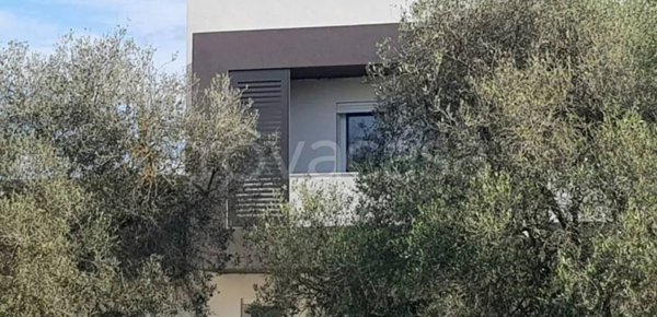 casa indipendente in vendita a Villaspeciosa