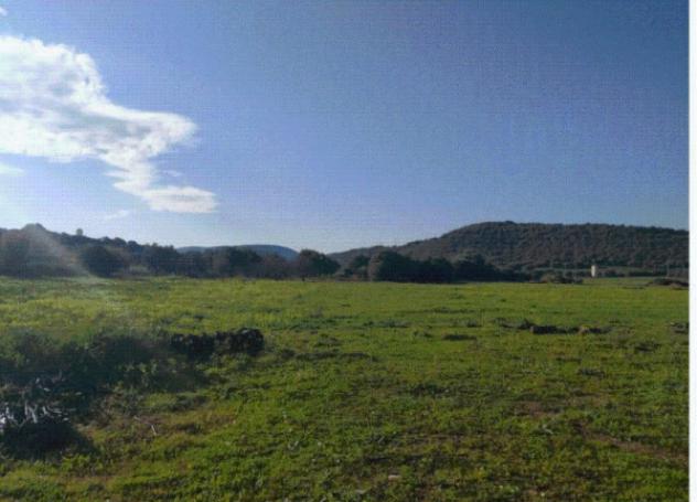 appartamento in vendita a Villaspeciosa