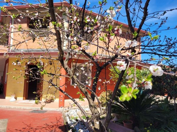 appartamento in vendita a Villaspeciosa