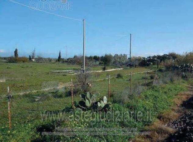 terreno agricolo in vendita a Villaspeciosa