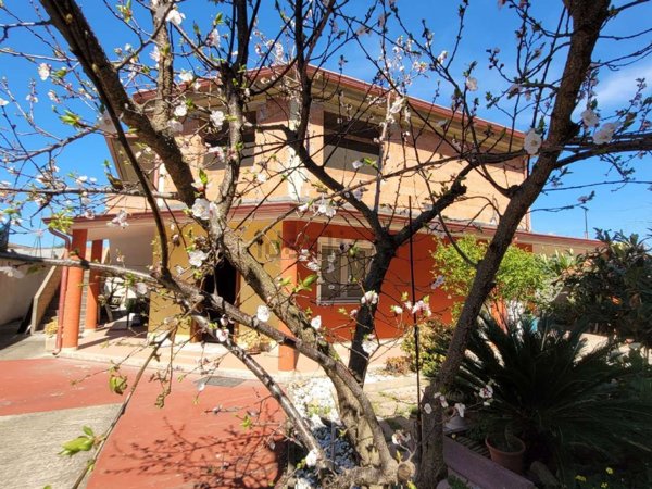 appartamento in vendita a Villaspeciosa