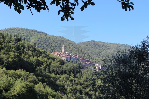appartamento in vendita ad Apricale