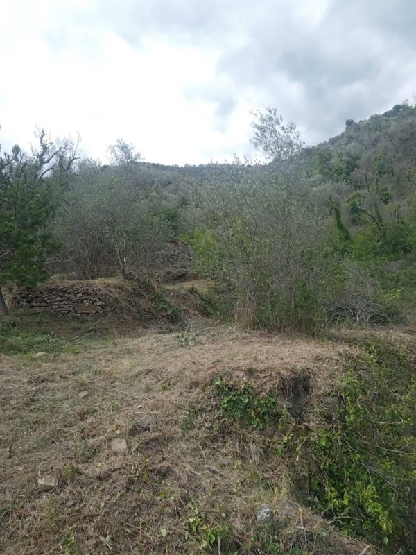 rudere in vendita ad Apricale
