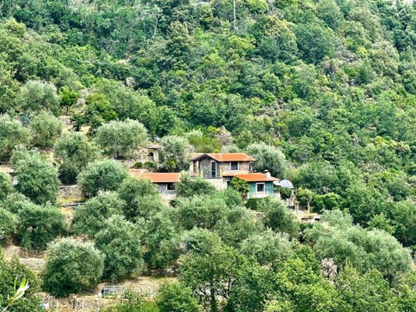 casa indipendente in vendita ad Apricale