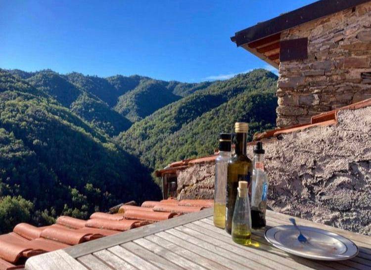appartamento in vendita ad Apricale