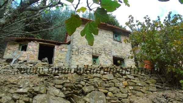 casa indipendente in vendita ad Apricale