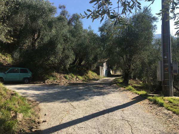 quadrivano in vendita ad Apricale