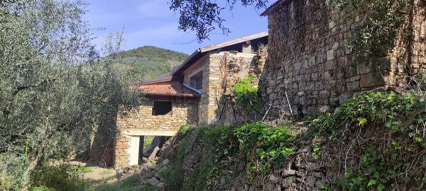 azienda agricola in vendita ad Apricale
