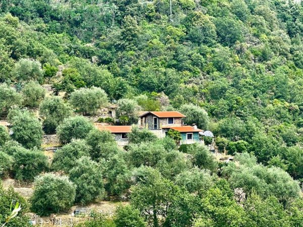 casa indipendente in vendita ad Apricale in zona Semoigo