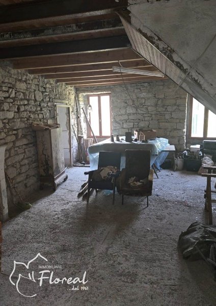 immagine annuncio 0 di 12