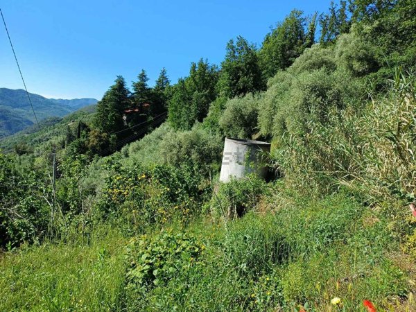 casale in vendita ad Apricale