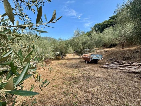 terreno agricolo in vendita ad Aquila d'Arroscia
