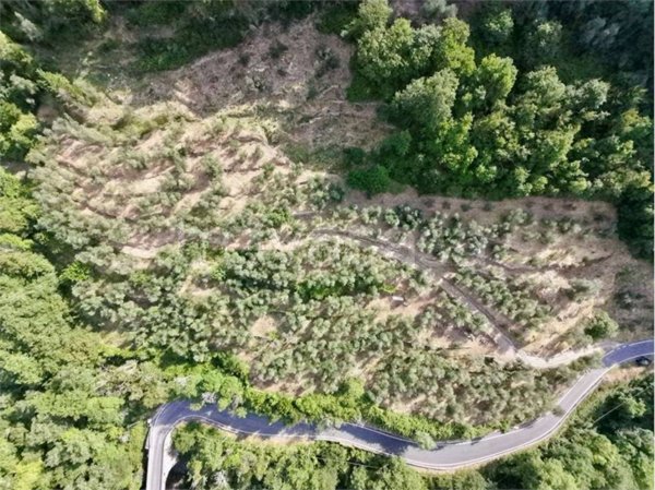 terreno in vendita ad Aquila d'Arroscia
