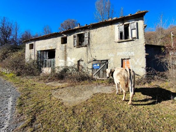casa indipendente in vendita ad Aurigo