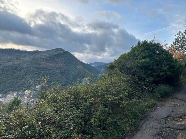 appartamento in vendita a Badalucco