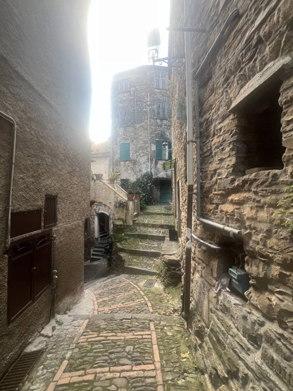 casa semindipendente in vendita a Badalucco