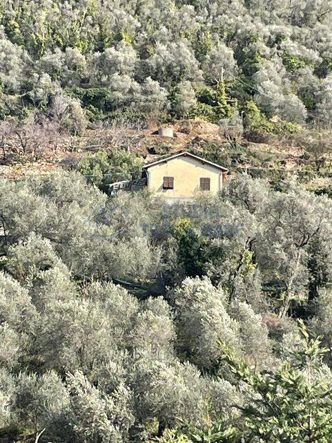 casa indipendente in vendita a Badalucco