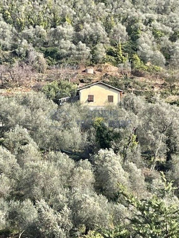 casa indipendente in vendita a Badalucco