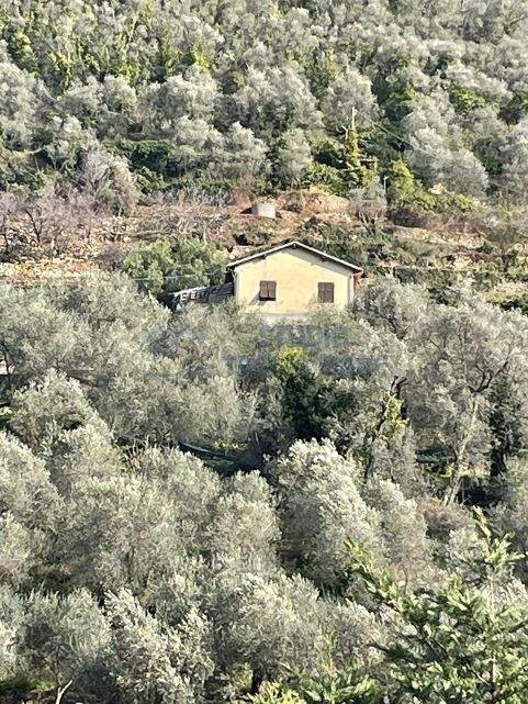 quadrivano in vendita a Badalucco