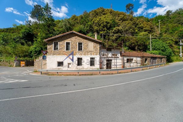 esavano in vendita a Badalucco