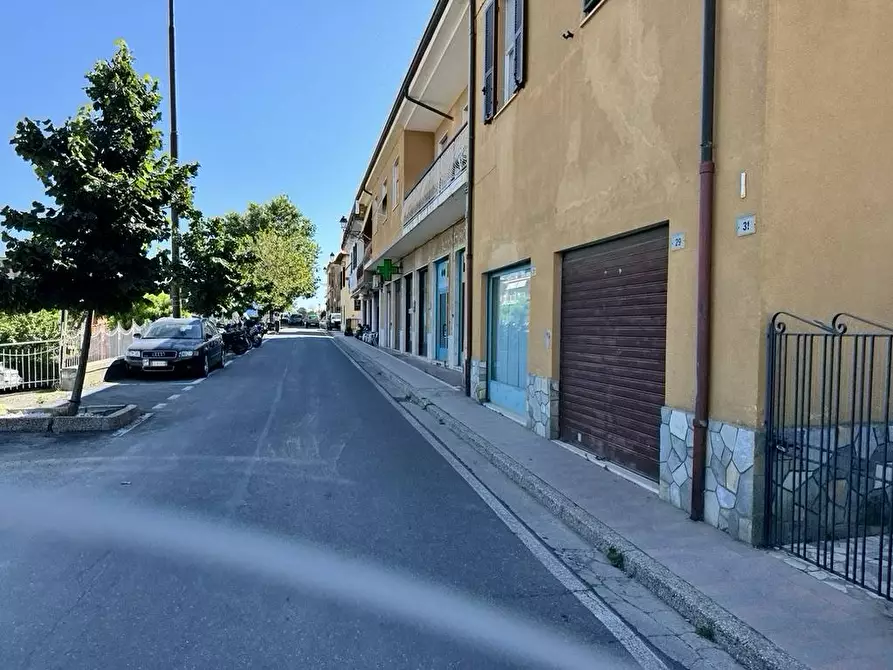 negozio in vendita a Badalucco