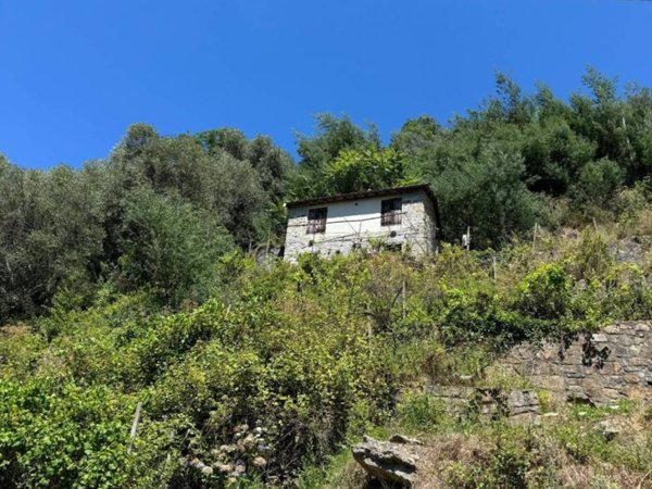 casa indipendente in vendita a Badalucco
