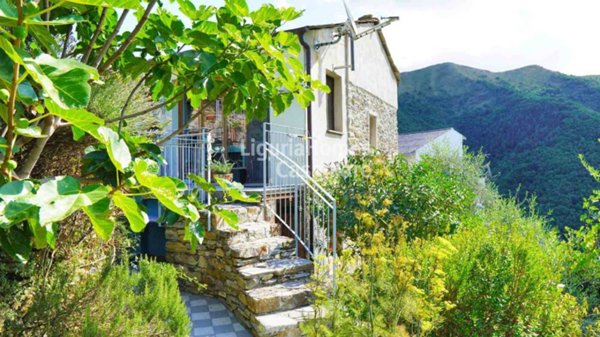 casa indipendente in vendita a Badalucco