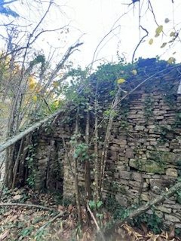 pentavano in vendita a Badalucco