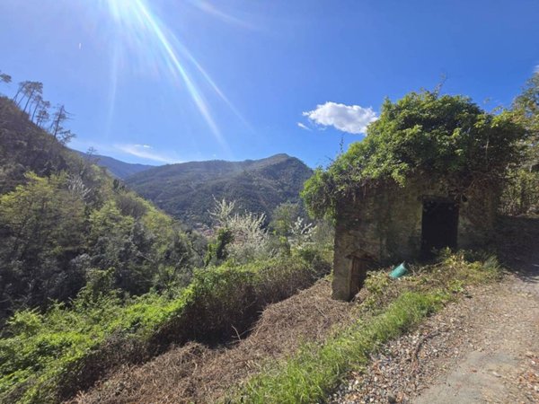 casa indipendente in vendita a Badalucco