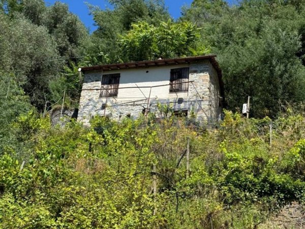 immagine annuncio 0 di 5