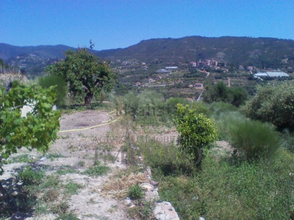 casa indipendente in vendita a Bordighera in zona Borghetto San Nicolò