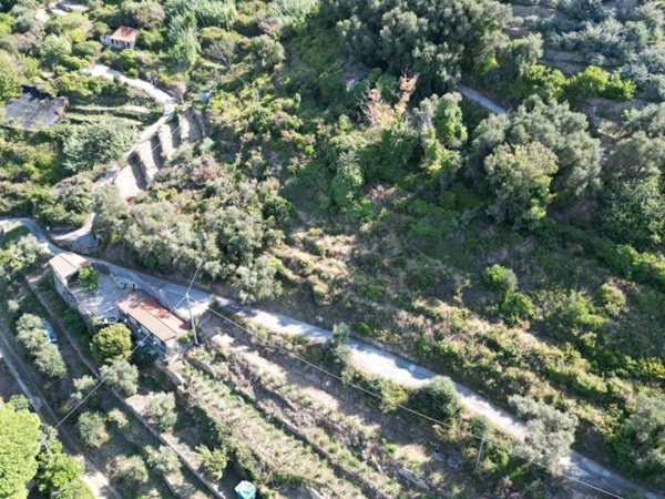 terreno edificabile in vendita a Bordighera in zona Sasso