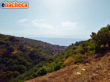 casa indipendente in vendita a Bordighera