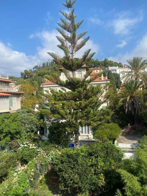 appartamento in vendita a Bordighera