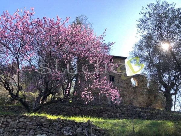 casa indipendente in vendita a Bordighera