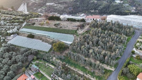casa indipendente in vendita a Bordighera
