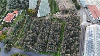 casa indipendente in vendita a Bordighera in zona Borghetto San Nicolò