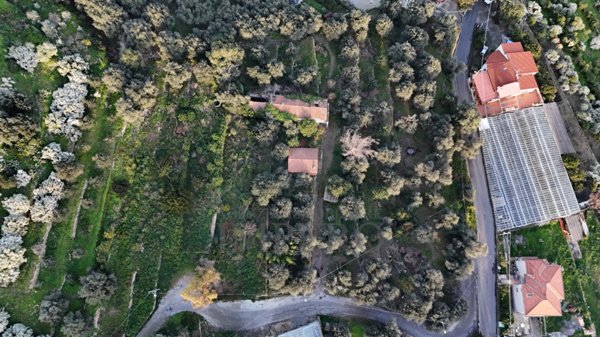 appartamento in vendita a Bordighera in zona Borghetto San Nicolò